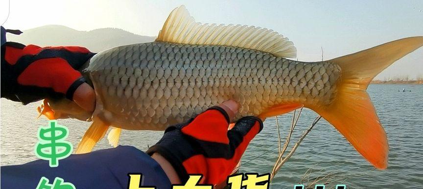 冬天矶竿串钩钓鱼技巧野外有哪些？如何应对冬季钓鱼的挑战？  第3张