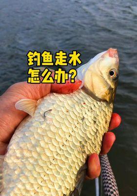 冬天急流走水钓鱼技巧是什么？如何提高钓鱼成功率？  第3张