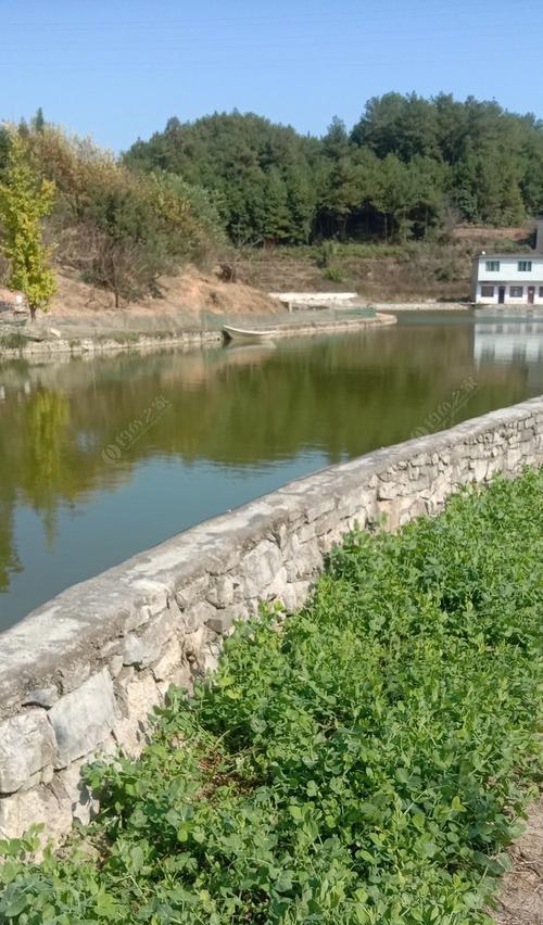 冬天在家塘钓鱼应该注意哪些技巧和方法？  第2张