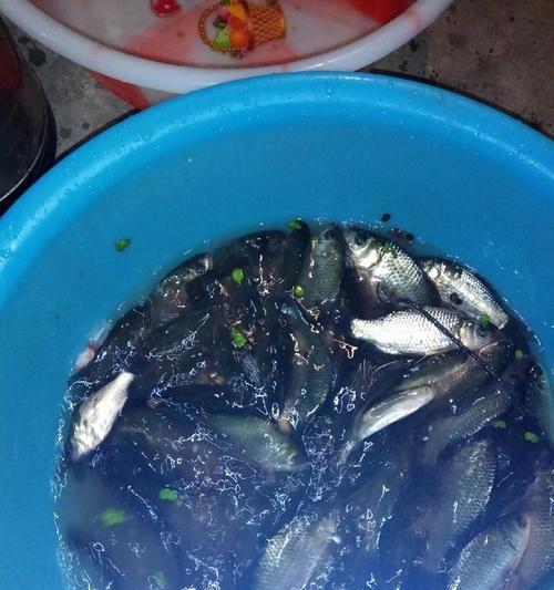 冬天江河夜钓鲫鱼有哪些技巧？如何提高夜钓鲫鱼的成功率？  第2张