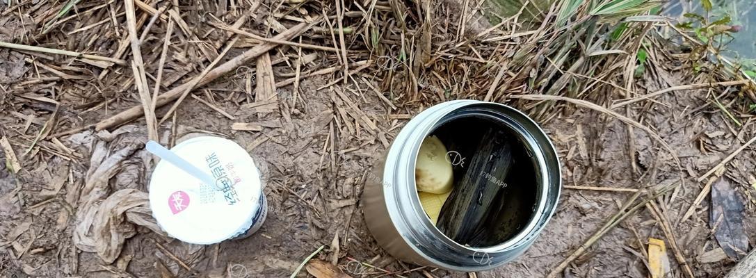 冬天在莲藕塘钓鱼有哪些技巧？如何提高钓获率？  第1张