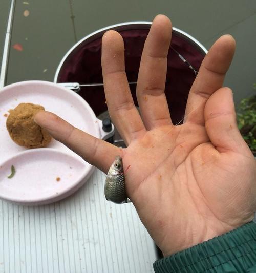 冬天梅雨季节钓鱼技巧有哪些？如何应对梅雨天气提高钓鱼成功率？  第1张