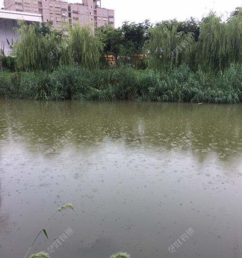冬天在南方钓鱼应该注意哪些技巧？有哪些有效的方法？  第2张