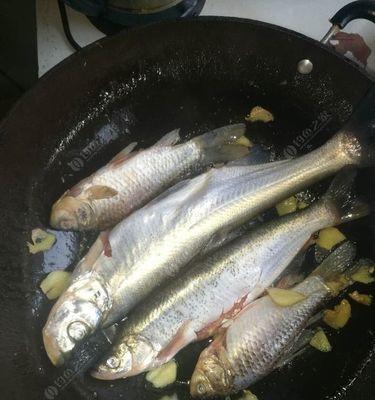 冬天在南方如何钓翘嘴鱼？有哪些有效钓法技巧？  第1张