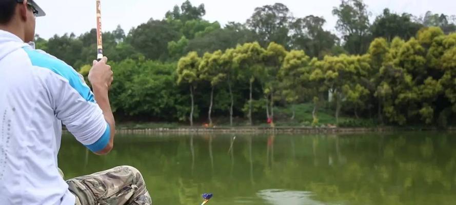 冬天暖阳钓鱼的方法和技巧是什么？如何提高冬季钓鱼的效率？  第3张