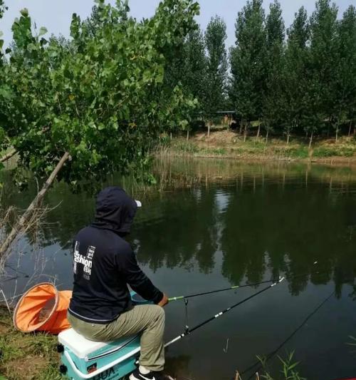 冬天如何抛竿钓鲢鳙？掌握哪些技巧能提高成功率？  第2张
