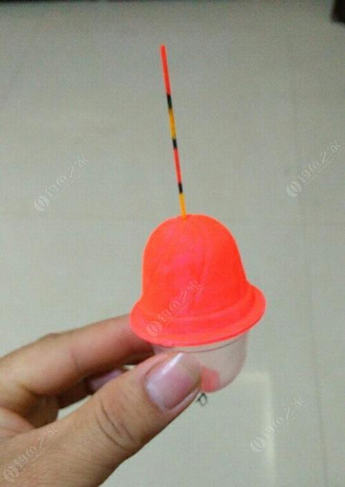 冬天如何抛竿钓鲢鳙？掌握哪些技巧能提高成功率？  第1张