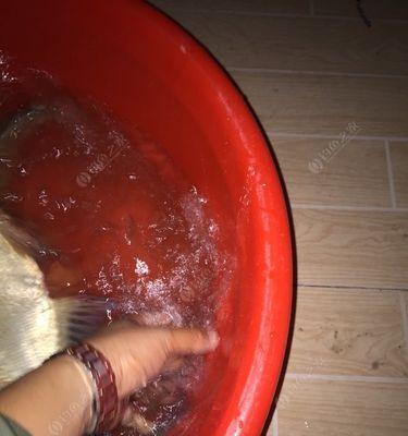冬天在千岛湖夜钓鲢鳙有哪些技巧？如何提高钓鲢鳙的成功率？  第1张