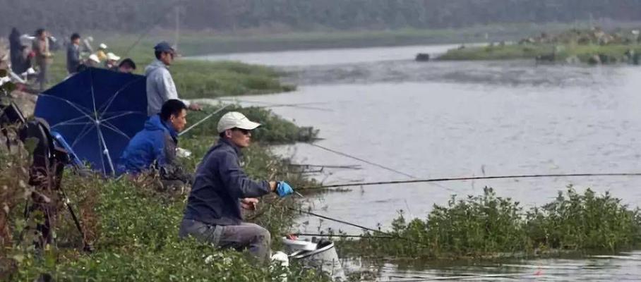 冬天浅水钓鱼技巧有哪些？如何提高冬季钓鱼成功率？  第3张
