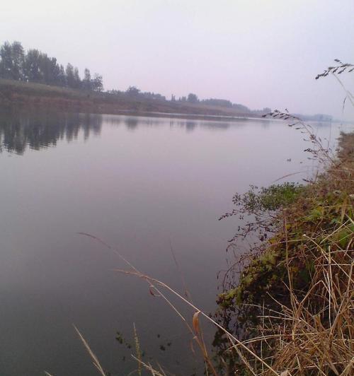 冬天浅水河钓鱼技巧有哪些？如何提高冬季钓鱼成功率？  第3张