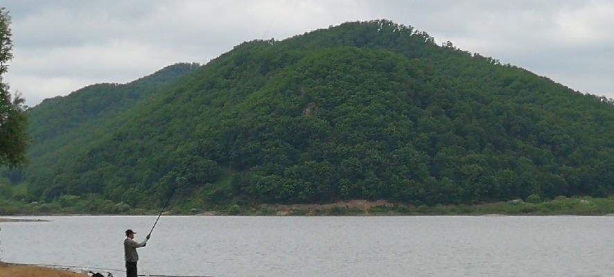冬天浅水塘钓鱼技巧有哪些？如何提高冬季钓鱼成功率？  第1张