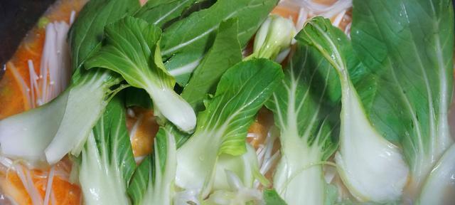 冬天青豆钓鱼方法和技巧是什么？如何提高冬季钓鱼成功率？  第2张