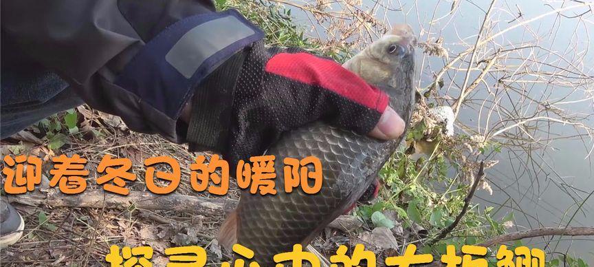 冬天深坑钓鱼技巧是什么？如何提高冬季深坑钓鱼的成功率？  第2张
