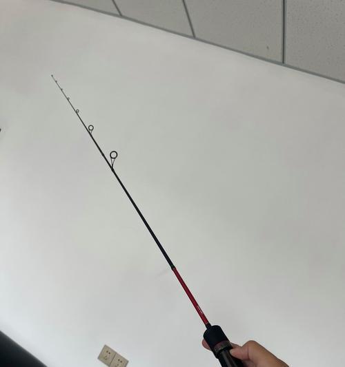 冬天深水区滑竿钓鱼技巧是什么？如何提高钓鱼成功率？  第2张