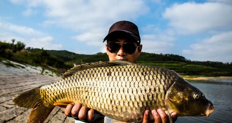 冬天深水野钓大鱼技巧是什么？如何提高冬季深水钓鱼的成功率？  第1张