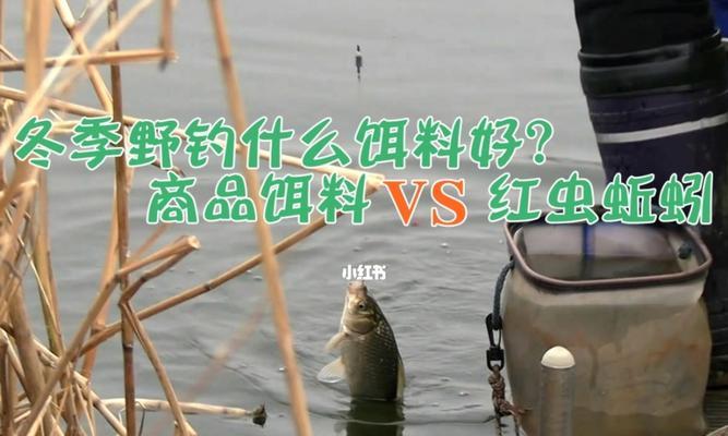 冬天钓鱼用蚯蚓效果好吗？六个技巧助你成功钓大鱼！  第3张