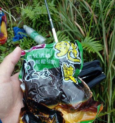 冬天手竿垂钓鲫鱼有哪些技巧？如何提高冬季钓鱼的效率？  第1张
