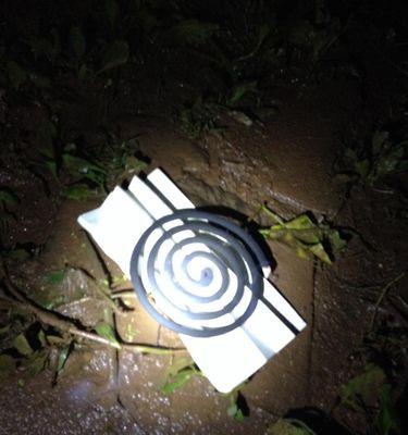 冬天手竿夜钓技巧和方法是什么？如何提高夜钓成功率？  第3张