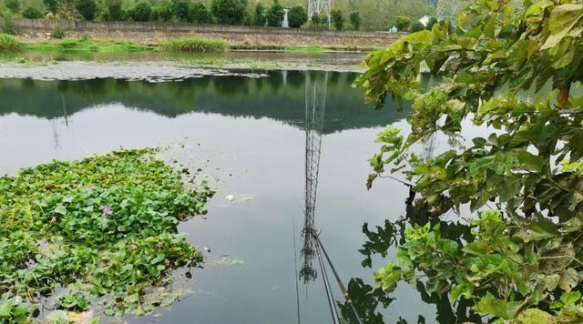 冬天水葫芦下钓鱼技巧有哪些？如何提高冬季钓鱼成功率？  第1张