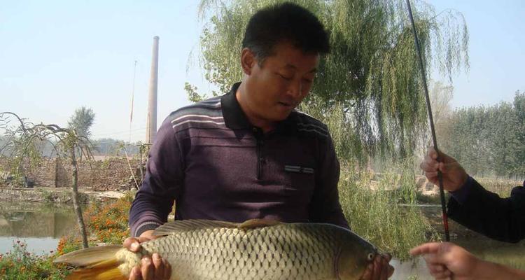 冬天水库野钓鲫鱼技巧有哪些？如何提高钓鲫鱼的成功率？  第2张