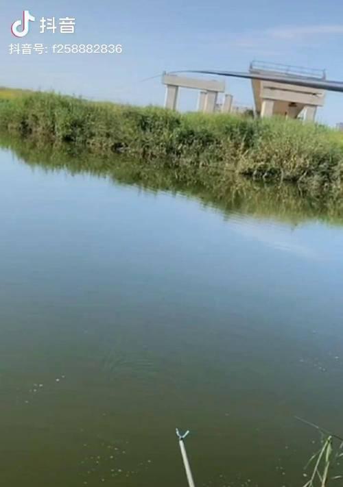 冬天死水野钓鲫鱼技巧是什么？如何提高冬季野钓鲫鱼的成功率？  第2张