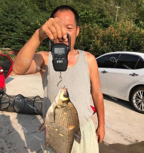 冬天在亭子湖钓鱼应该注意哪些技巧？有哪些有效的方法可以提高钓鱼成功率？  第3张