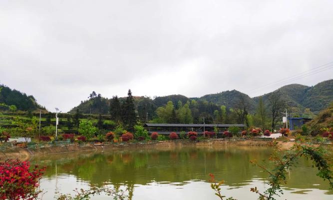 冬天徒步钓鱼技巧和方法？如何在寒冷季节中成功钓鱼？  第3张