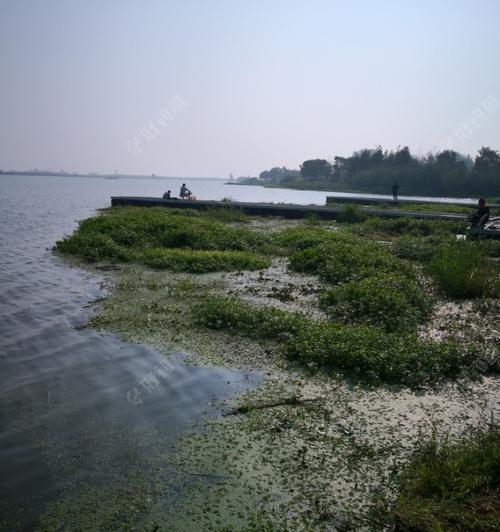 冬天钓鱼技巧有哪些？水草下如何提高钓鱼成功率？  第2张