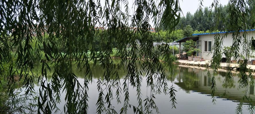 冬天小溪钓鱼技巧有哪些？如何在流水里成功钓到鱼？  第2张