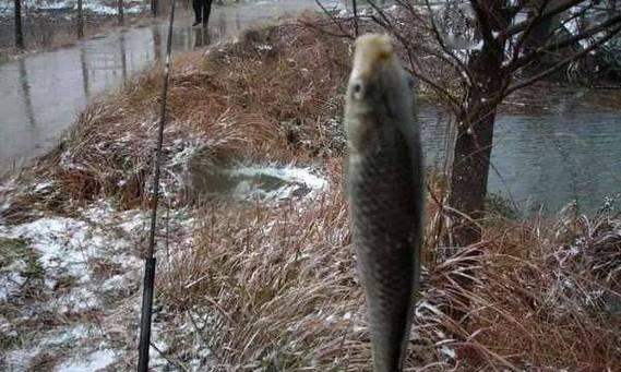 冬天雪天钓鱼技巧有哪些？如何在雪天成功钓到鱼？  第2张