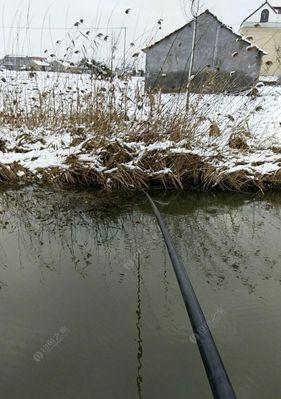 冬天雪天钓鱼技巧有哪些？如何在雪天成功钓到鱼？  第3张