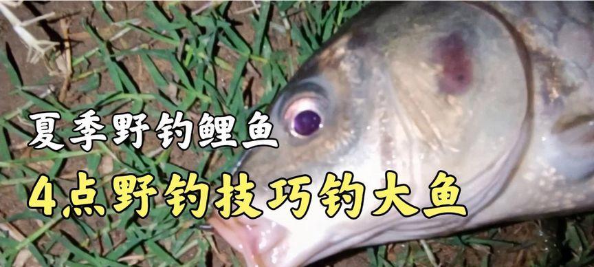 冬天野钓大鱼技巧教程？如何在寒冷季节成功钓到大鱼？  第1张