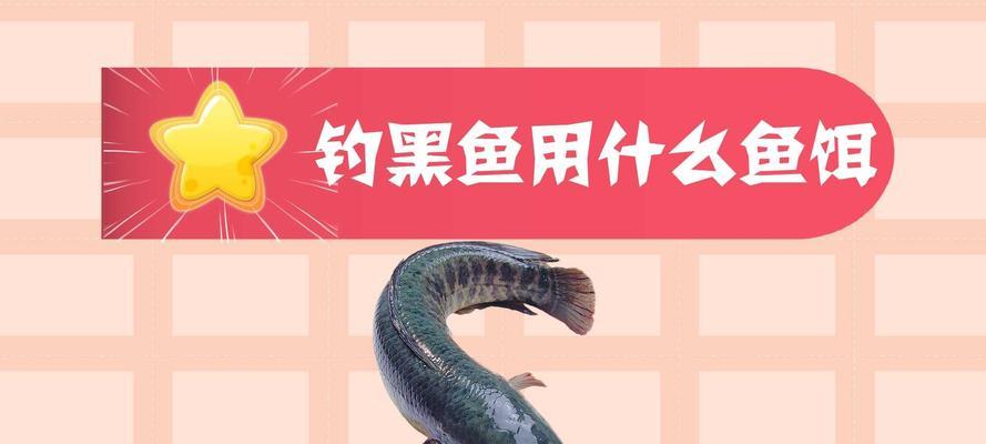 冬天野钓黑鱼技巧有哪些？如何提高冬季黑鱼的钓获率？  第3张