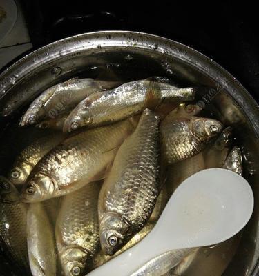 冬天野钓鲫鱼的技巧是什么？如何提高冬季鲫鱼的钓获率？  第3张