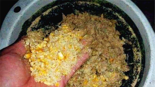 冬天野钓鲫鱼时应该使用哪些饵料配方？有哪些有效的钓鱼技巧？  第1张