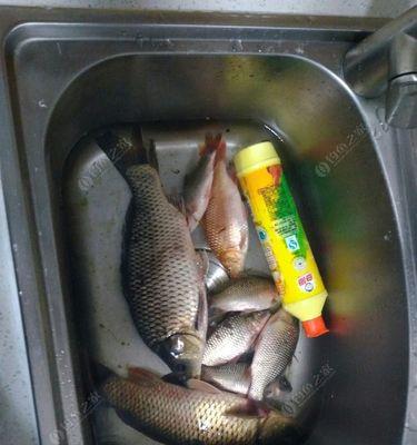 冬天野钓鲫鱼时如何正确使用蚯蚓挂钩？有哪些技巧可以提高钓获率？  第2张
