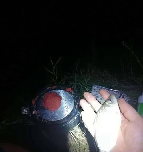 冬天野钓鱼用虫子有什么技巧吗？如何提高冬季钓鱼成功率？  第2张