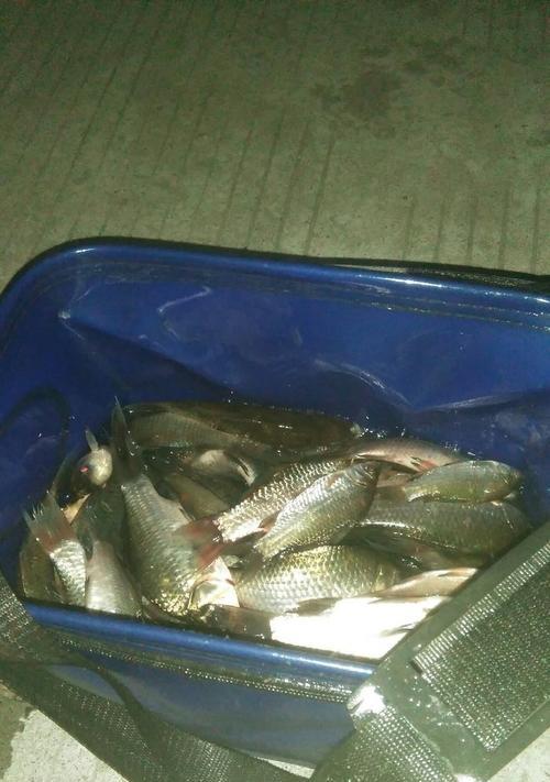 冬天夜钓大鲫鱼最好的方法和技巧是什么？如何提高夜钓大鲫鱼的效率？  第2张