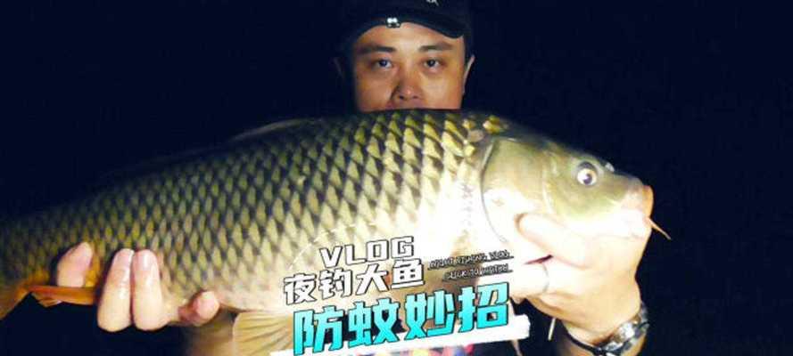冬天夜钓应该注意什么？有哪些实用的小技巧？  第1张
