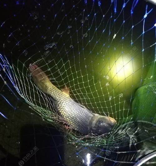 冬天夜钓技巧教程？如何提高夜钓成功率？  第3张
