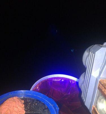 冬天夜钓鲫鱼必备技巧有哪些？如何提高夜钓鲫鱼的成功率？  第2张