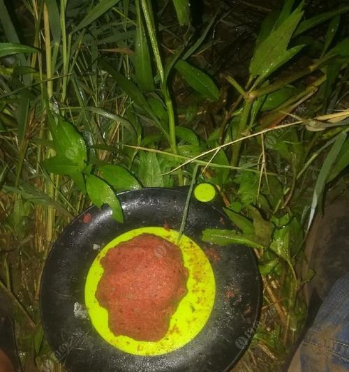 冬天夜钓鲫鱼最佳配方是什么？最新技巧有哪些？  第1张
