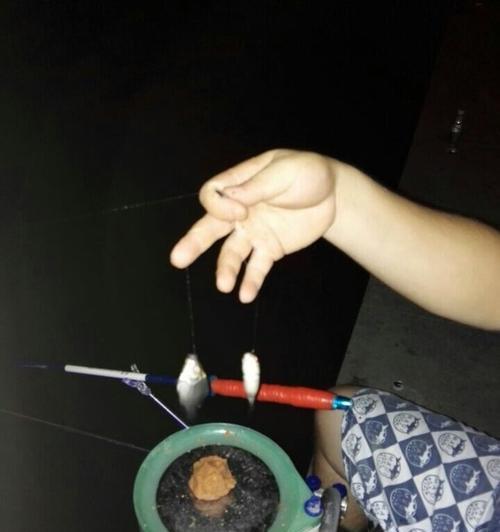 冬天夜钓如何开饵？有哪些有效技巧？  第3张