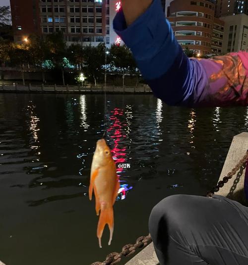 冬天夜钓鱼技巧及方法是什么？如何提高夜钓成功率？  第3张