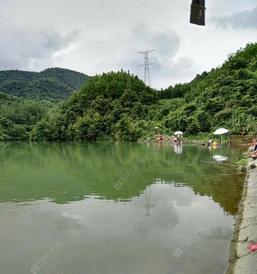冬天阴天池塘钓鱼技巧是什么？如何提高钓鱼成功率？  第1张