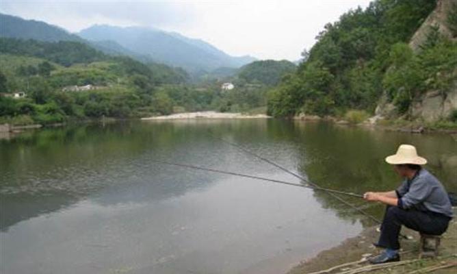 冬天阴天野钓鲫鱼技巧有哪些？如何提高冬季阴天钓鱼的成功率？  第1张