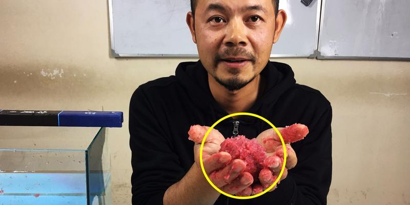 冬天用虾钓鱼技巧有哪些？如何提高冬季钓鱼成功率？  第3张