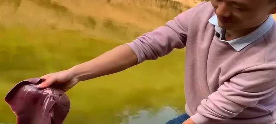 冬天用猪肝钓鱼技巧是什么？如何提高冬季钓鱼成功率？  第3张