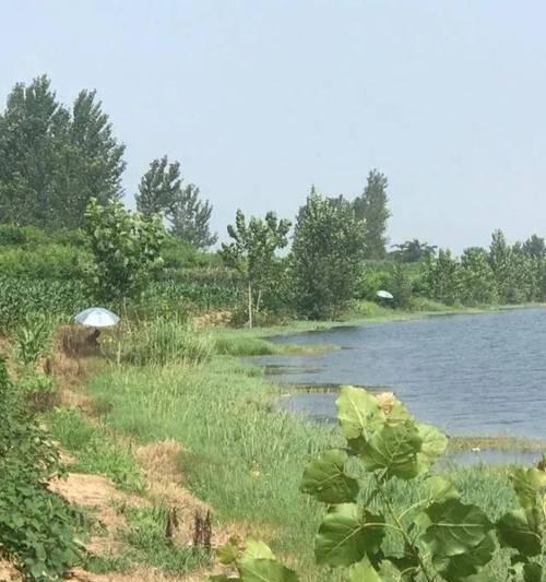 冬至后阴天钓鱼如何提高成功率？有哪些技巧可以学习？  第2张