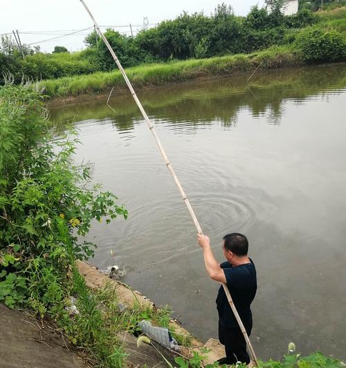 冬至后阴天钓鱼如何提高成功率？有哪些技巧可以学习？  第3张